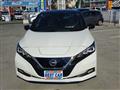 2020 Nissan Leaf