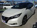 2020 Nissan Leaf