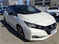 2020 Nissan Leaf