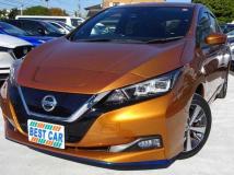 2019 Nissan Leaf