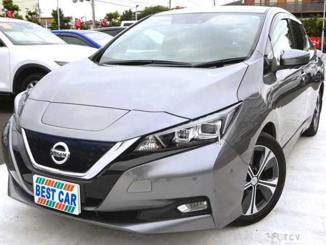 2017 Nissan Leaf