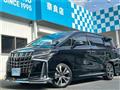 2019 Toyota Alphard G