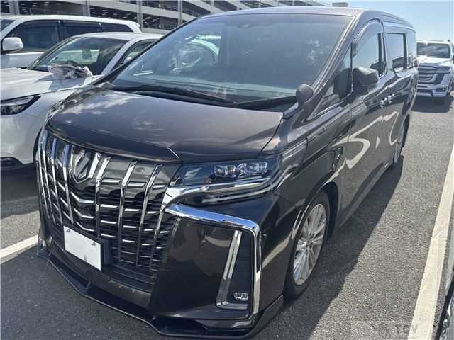 2019 Toyota Alphard G