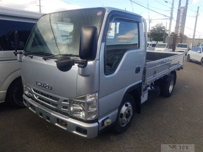2019 Isuzu Elf Truck
