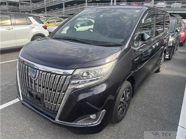 2019 Toyota Toyota Others