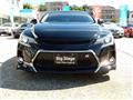 2019 Toyota Mark X