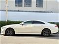 2019 Mercedes-Benz Cls-Class