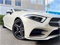 2019 Mercedes-Benz Cls-Class