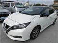 2019 Nissan Leaf