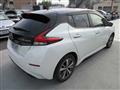 2019 Nissan Leaf