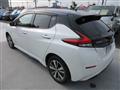 2019 Nissan Leaf