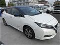 2019 Nissan Leaf