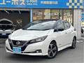 2018 Nissan Leaf