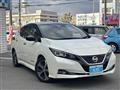 2018 Nissan Leaf