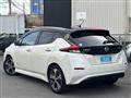 2018 Nissan Leaf