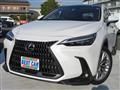 2023 Lexus Other