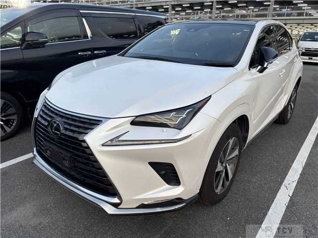 2020 Lexus Other