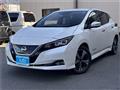 2019 Nissan Leaf