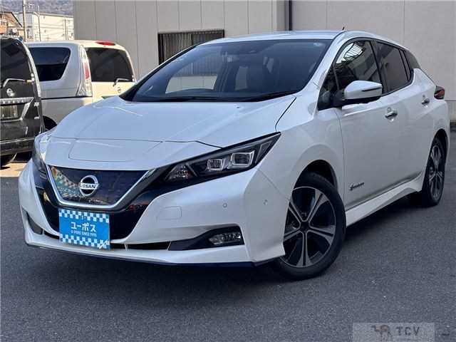 2019 Nissan Leaf