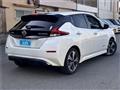 2019 Nissan Leaf