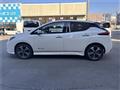 2019 Nissan Leaf