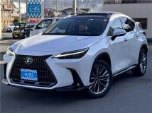 2023 Lexus Other