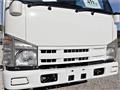 2007 Isuzu Elf Truck