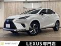 2020 Lexus Other