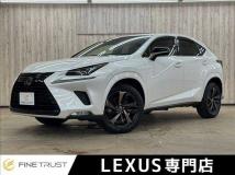 2020 Lexus Other