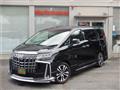 2019 Toyota Alphard G