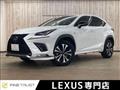 2018 Lexus Other