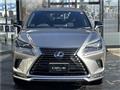 2020 Lexus Other