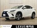 2019 Lexus Other