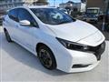 2022 Nissan Leaf
