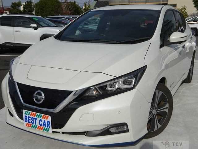 2019 Nissan Leaf