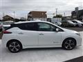 2019 Nissan Leaf