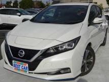 2019 Nissan Leaf