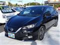 2020 Nissan Leaf