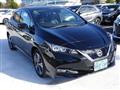 2020 Nissan Leaf