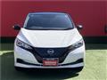2021 Nissan Leaf