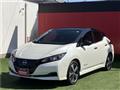 2021 Nissan Leaf