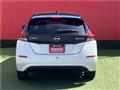 2021 Nissan Leaf