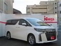 2020 Toyota Alphard G