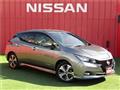 2021 Nissan Leaf