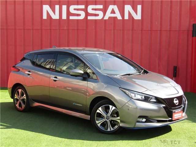 2021 Nissan Leaf