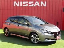 2021 Nissan Leaf