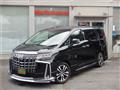 2019 Toyota Alphard G