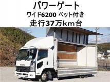 2010 Isuzu Isuzu Others