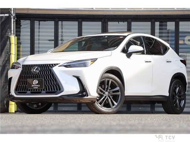 2023 Lexus Other