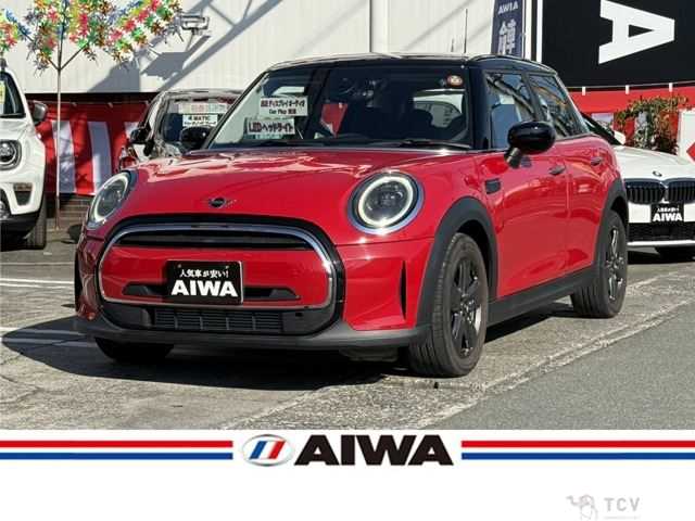 2021 Rover Mini